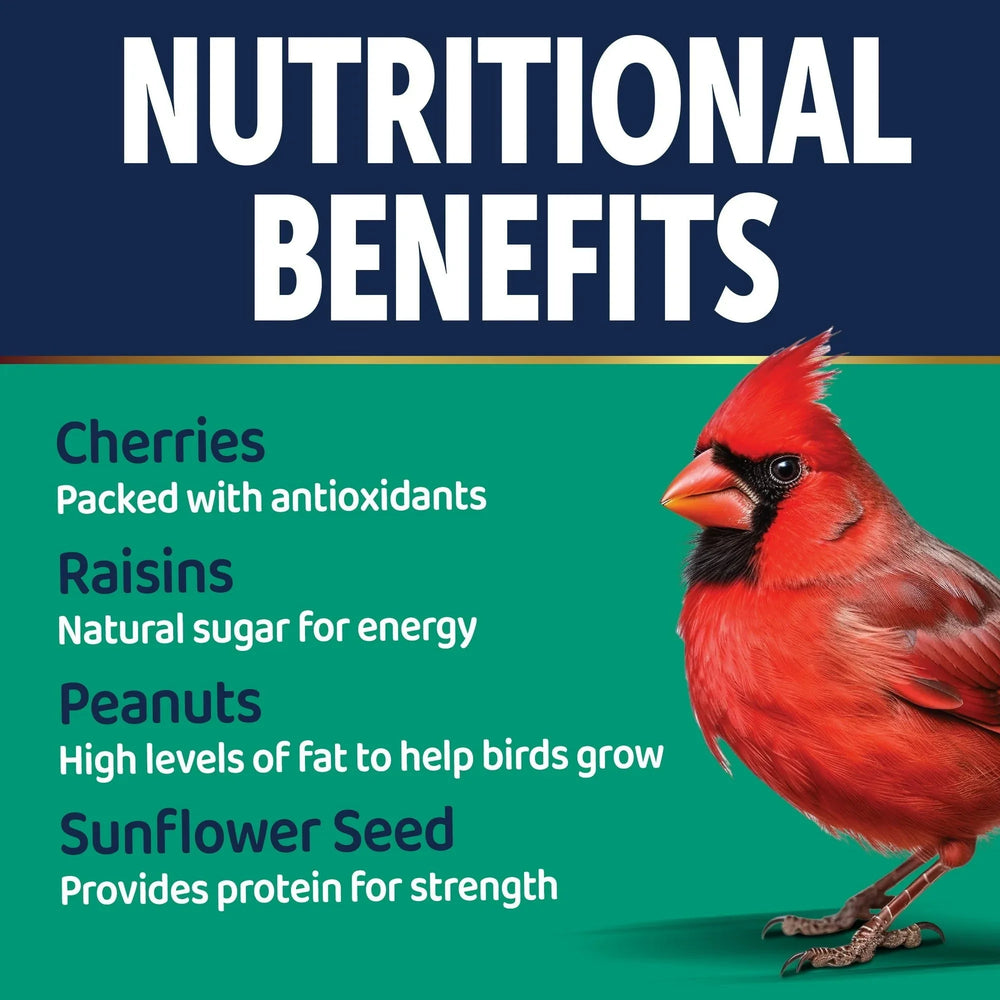 3-D Pro Blends Songbird Blend Wild Bird Food, Wild Bird Seeds, 5 Pounds - USA MEGA SHOP