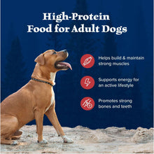 Adult dog beside high-protein dog food benefits callouts