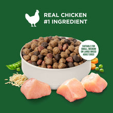 Kibble in white bowl with chicken pieces and peas for Real Chicken & Veggies Recipe