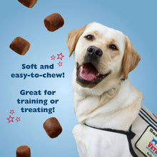Labrador dog with soft chew training treats, brown bites floating above