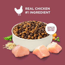Dry dog food marketing graphic with kibble in bowl and raw chicken pieces
