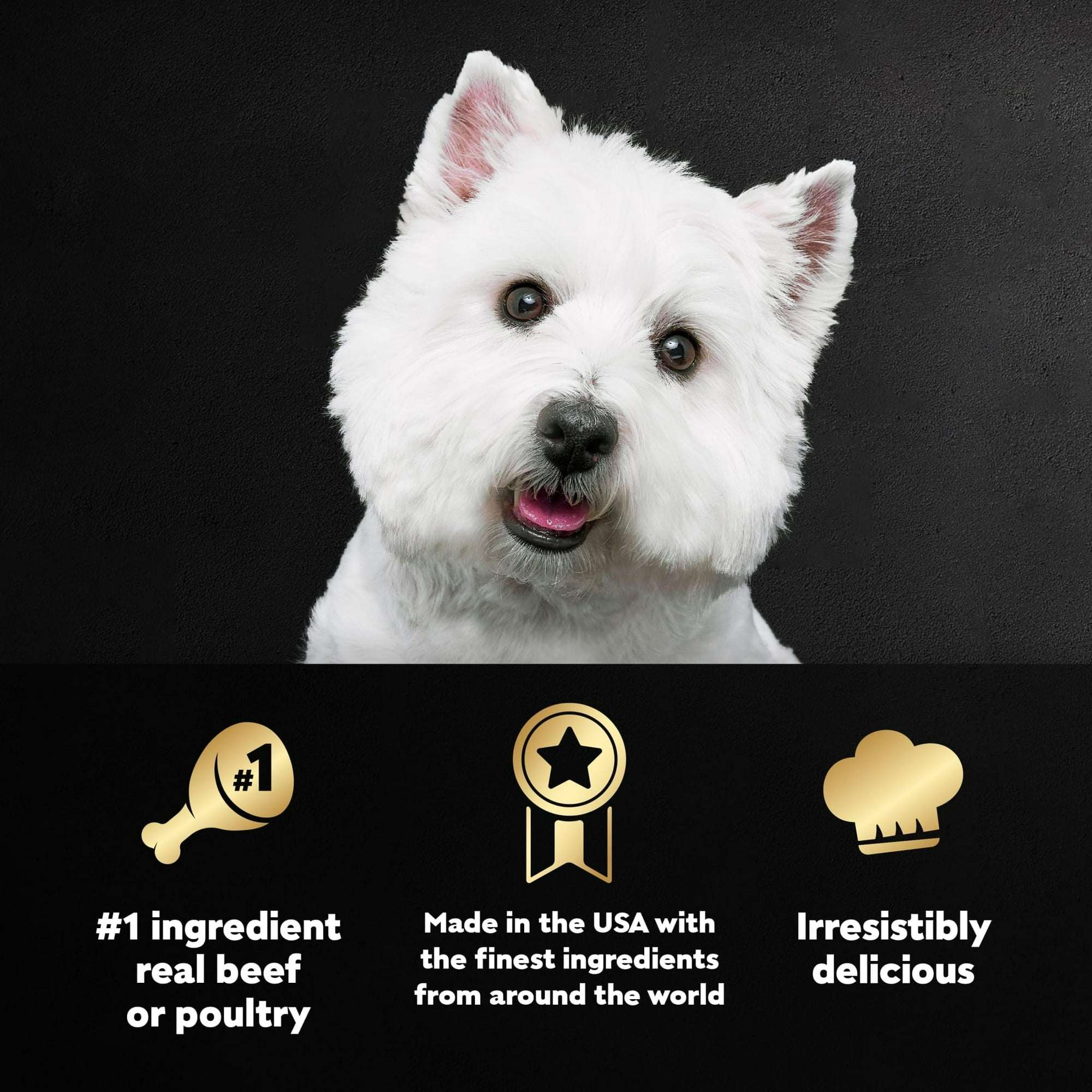 Cesar Classic Loaf In Sauce Wet Dog Food Variety Pack, 3.5 Oz Trays (36 Pack)