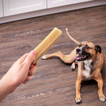 Dog sniffing a long bone chew held by hand on a wood floor