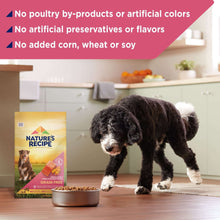 Grain-free dry dog food bag next to a standing black-and-white dog