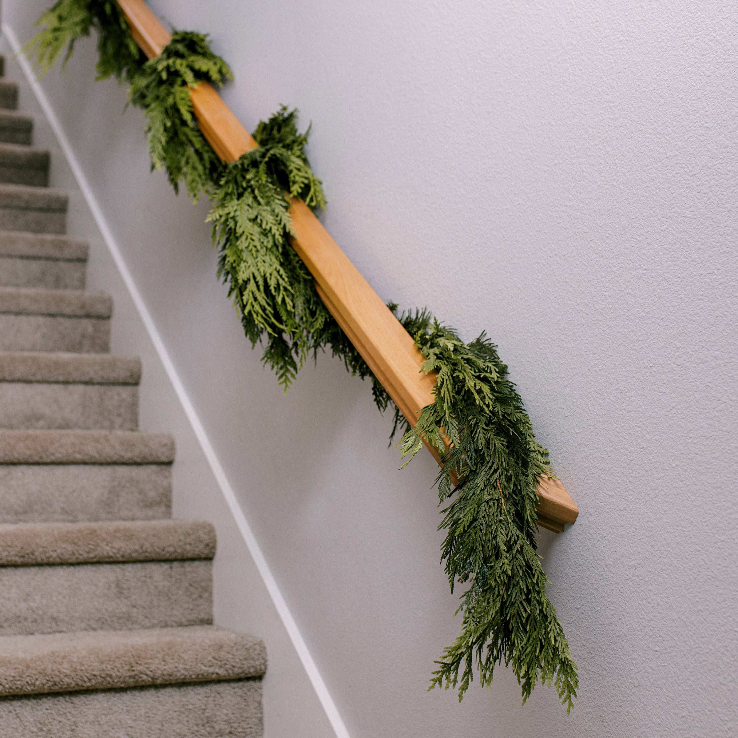 30‚Äô Fresh Western Red Cedar Garland