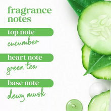 Fragrance notes graphic: cucumber, green tea, dew musk for body wash.