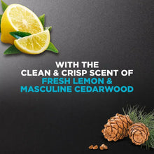 Clean Comfort scent image with lemon wedges, pine cones, and green leaves