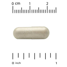 Beige veggie capsule with measurement scale on a white background