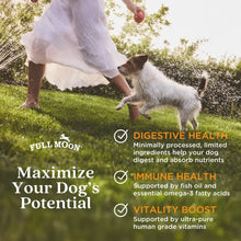 Air-dried dog food health marketing panel with digestive health, immune health, and vitality icons