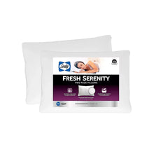 2-pack plush pillows, light gray, rectangular with smooth knit cover