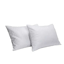 Two white quilted memory foam pillows with subtle stitching and blue piping