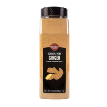 Wellsley Farms ground ginger spice shaker, 13.76 oz, brown bottle with label