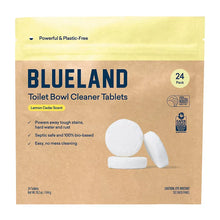 Toilet bowl cleaner tablet multipack, 24 count, paper box with white tablets