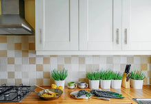Brushed nickel cabinet pulls on white kitchen cabinetry doors and drawers