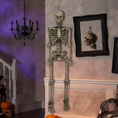 Berkley Jensen 5' Poseable Skeleton - USA MEGA SHOP