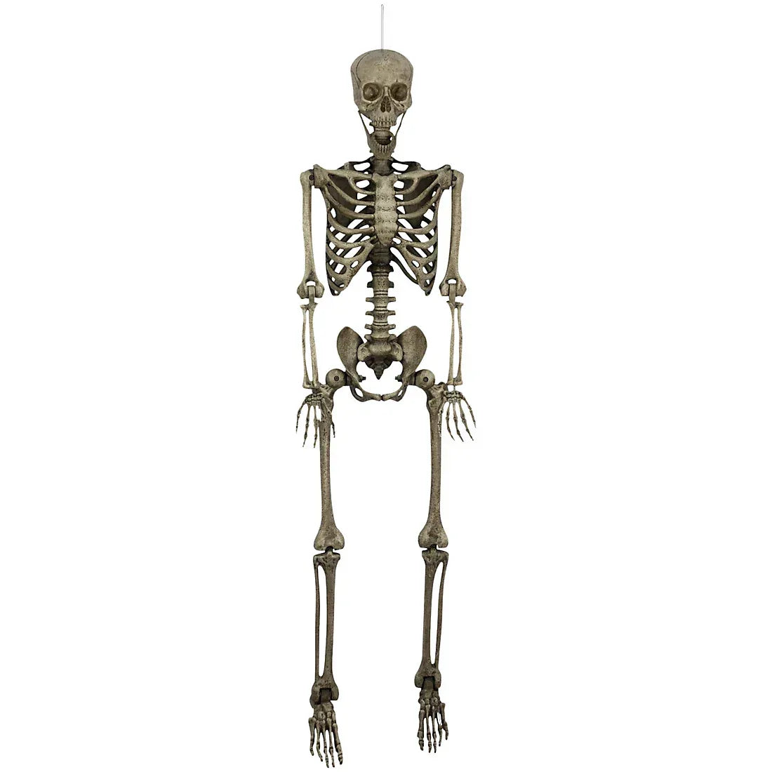 Berkley Jensen 5' Poseable Skeleton - USA MEGA SHOP