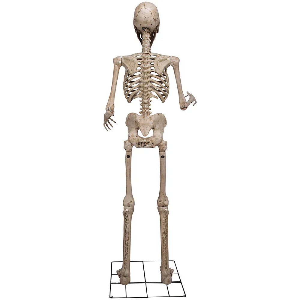 Berkley Jensen 8' Giant Poseable Skeleton with Lighted Eyes and Sound - USA MEGA SHOP