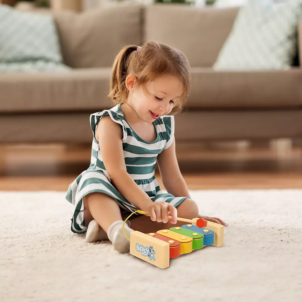 Bluey's Magical Xylophone Band Set - USA MEGA SHOP