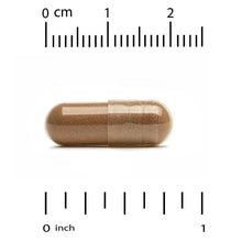 Rhodiola extract veggie capsules, brown powder inside clear two-piece shells