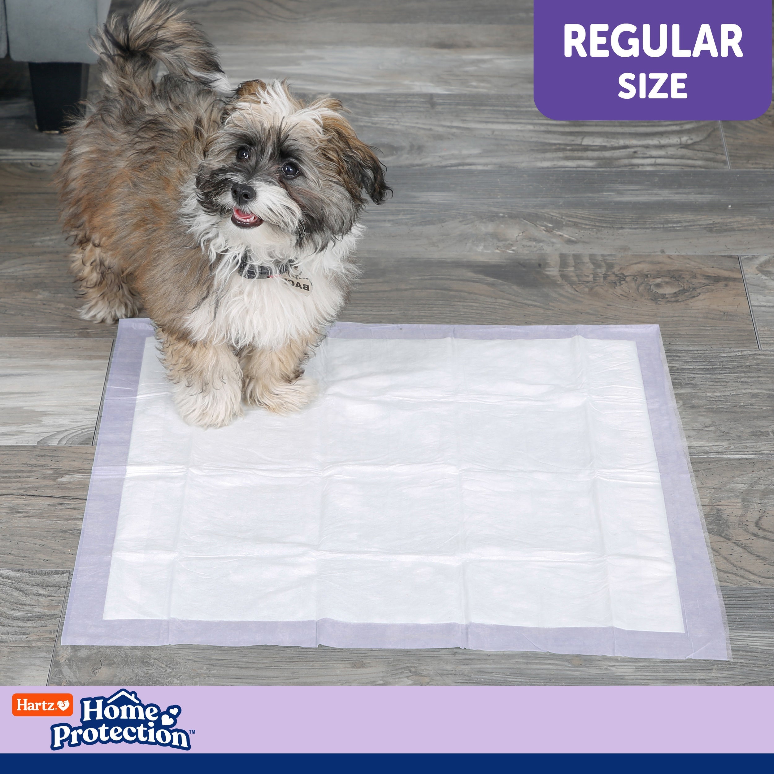 Hartz Home Protection Super Absorbent Odor Eliminating Lavender Scented No Leaks Dog Pads, Regular, 21 in x 21 in, 50 Count