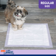 Regular white dog pee pad with small dog resting on top