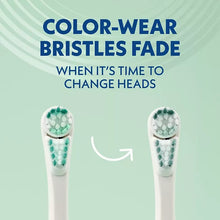 Electric toothbrush with white handle and green fading bristle heads