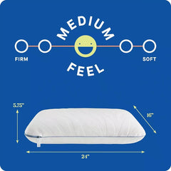 Sealy Dreamlife Standard Memory Foam Pillow