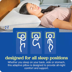 Sealy Dreamlife Standard Memory Foam Pillow - USA MEGA SHOP