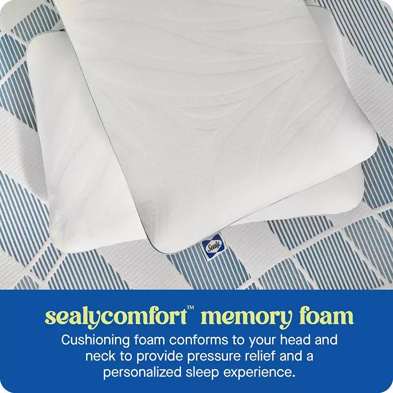 Sealy Dreamlife Standard Memory Foam Pillow - USA MEGA SHOP