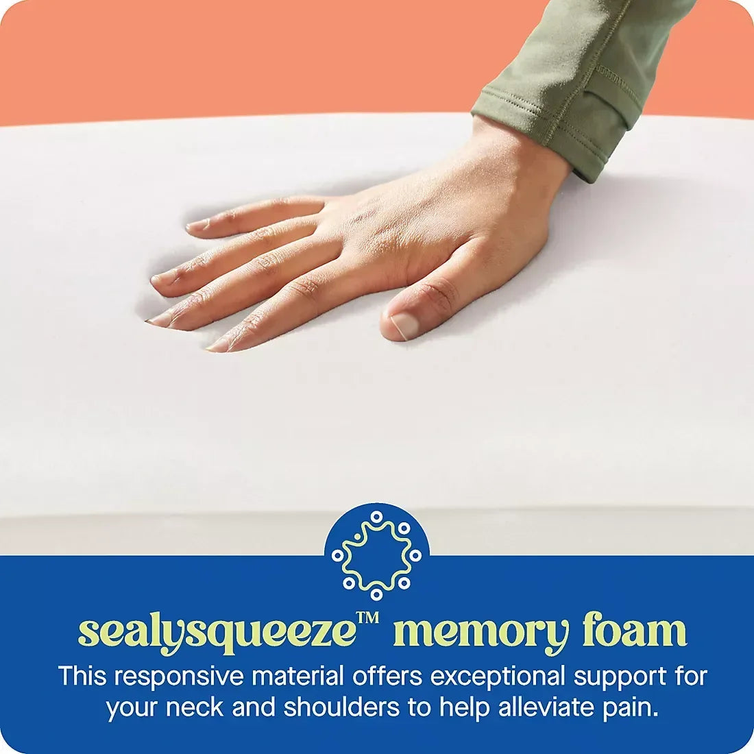 Sealy Dreamlife King Memory Foam Pillow
