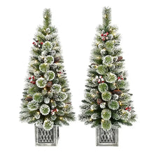 Pre-lit flocked Christmas trees with red berry accents in metal lattice planters