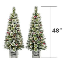 Pre-lit flocked Christmas trees with red berry accents, 48 in tall, metal planters
