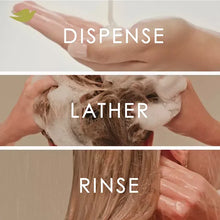 Shampoo lather and rinse on hands washing hair, with dispensing and rinse steps shown
