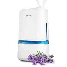 White cool mist humidifier with blue base ring and lavender sprigs