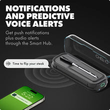 Smart hub with wireless meat thermometer probe and push notification voice alerts