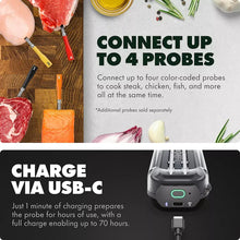 Color-coded wireless meat thermometer probes for cooking steak, chicken, and fish