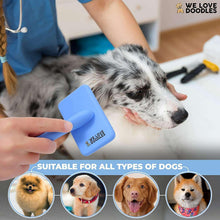 Blue dog slicker brush with metal pins used on a spotted dog coat.