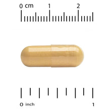 Two-Per-Day multivitamin capsule, beige gelatin, size scale