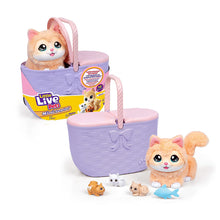 Little Live Pets Mama Surprise Kittens Playset