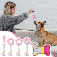 Assorted pink plush and rubber dog teething chew toys with braided rope tassels