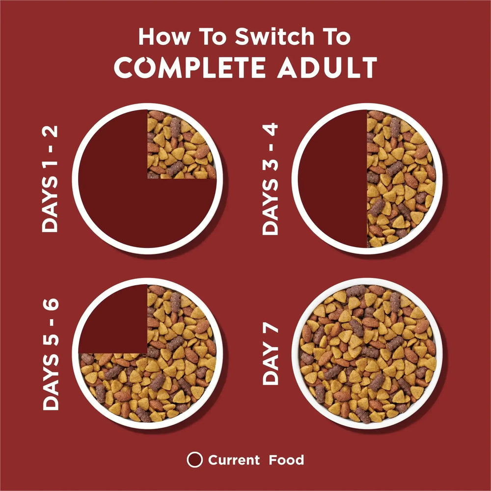 Purina Dog Chow Complete Adult Dry Dog Food, High Protein Real Beef - USA MEGA SHOP