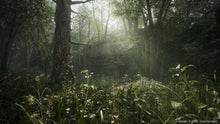 PlayStation 5 game screenshot of sunlit jungle path with tall grass and trees