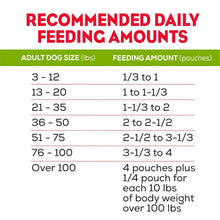 Recommended daily feeding amounts chart for adult dogs with pouch quantity guide