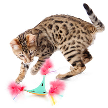 Interactive cat toy with teal shape and pink feather pom-poms