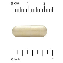 Beige veggie capsule with size ruler markings