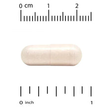Pale cream veggie capsule next to measurement scale