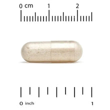 Cream-colored veggie capsule with measurement ruler showing about 1 inch
