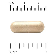 Echinacea extract vegetable capsule, beige, with size ruler scale above