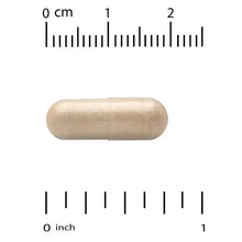 Beige veggie capsule next to inch and cm rulers for size reference