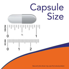 Capsule size measurement diagram with ruler markings and capsule cross-section
